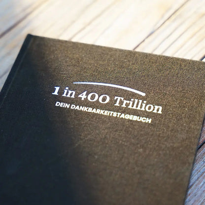 1 in 400 Trillion Dankbarkeitstagebuch